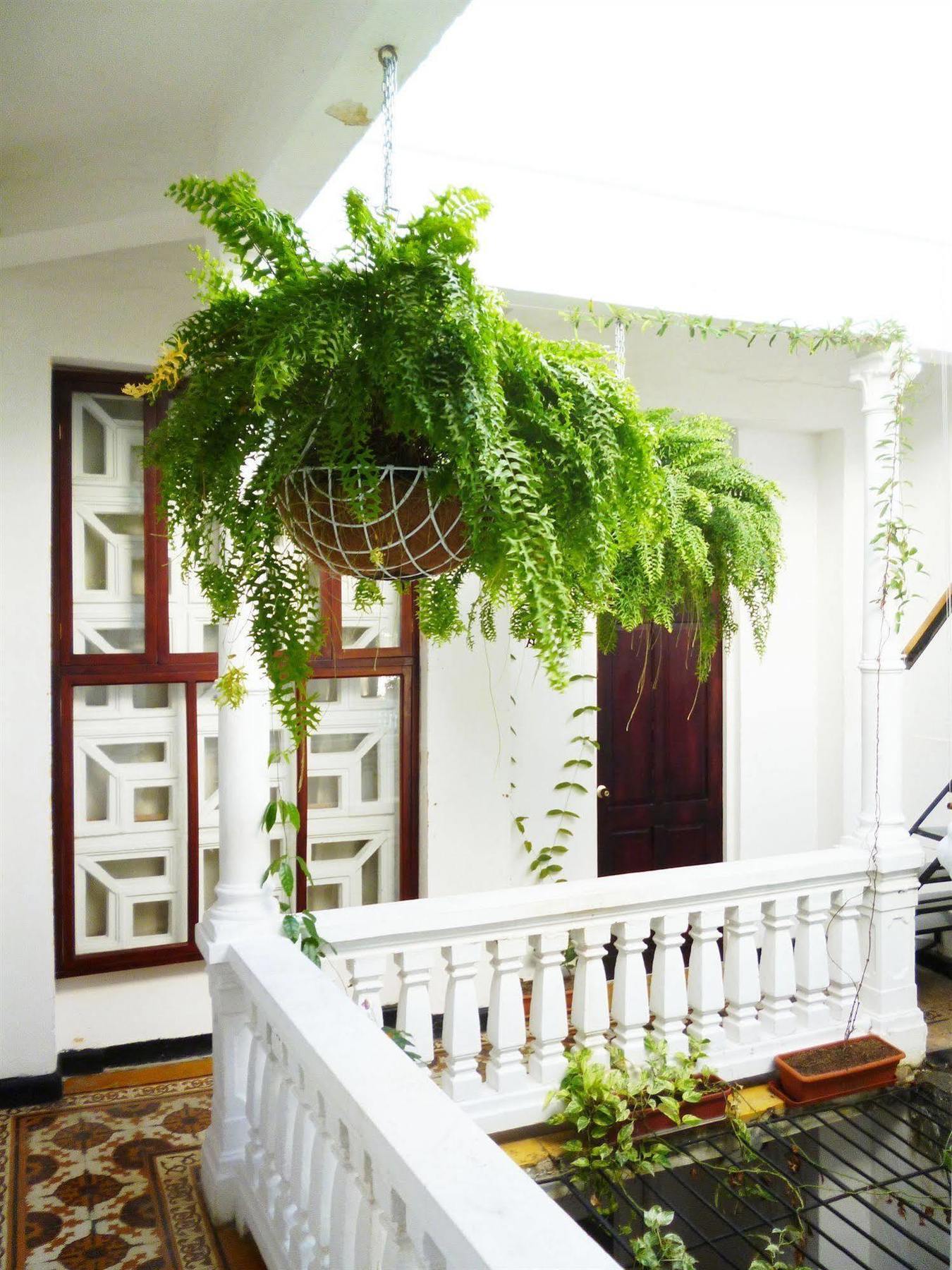 Hotel Santa Cruz Cartagena Ngoại thất bức ảnh